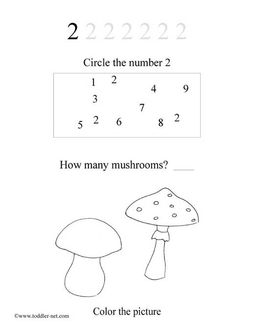 trace-the-number-two-worksheet-turtle-diary
