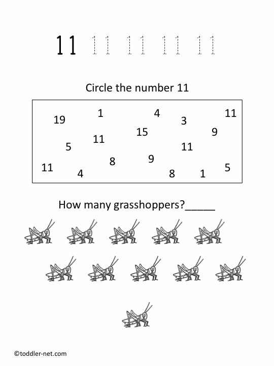 Number 11 Worksheets For Toddlers