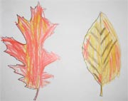 Kids Craft - Leaves Drawing and Coloring